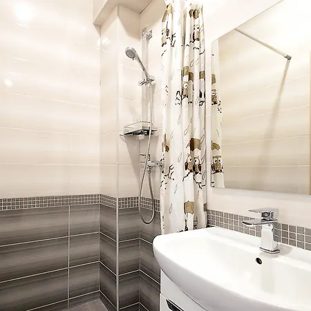 Apartment Doroshenka 29